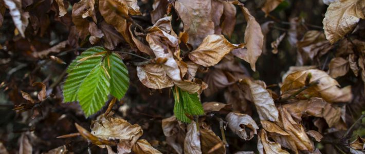 Start ins Frühjahr: Mitgliederversammlung