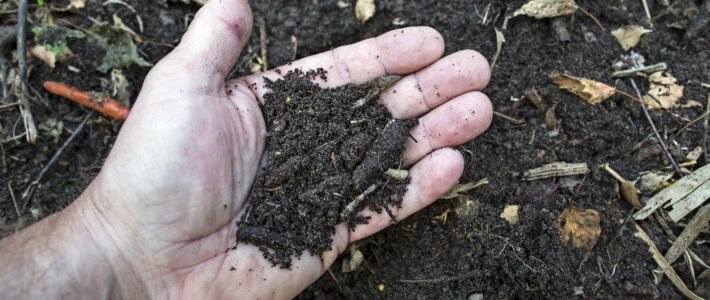 Seminar: Das Gold der Gärtner